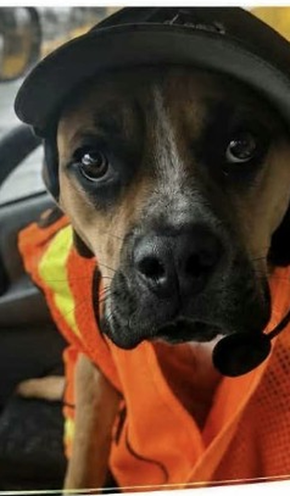 Max from Gignac Bins and Recycling Depot wearing his orange safety vest and headset